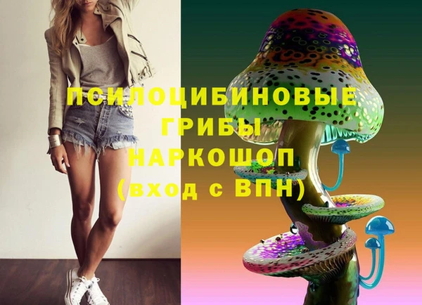 гидропоника Краснотурьинск